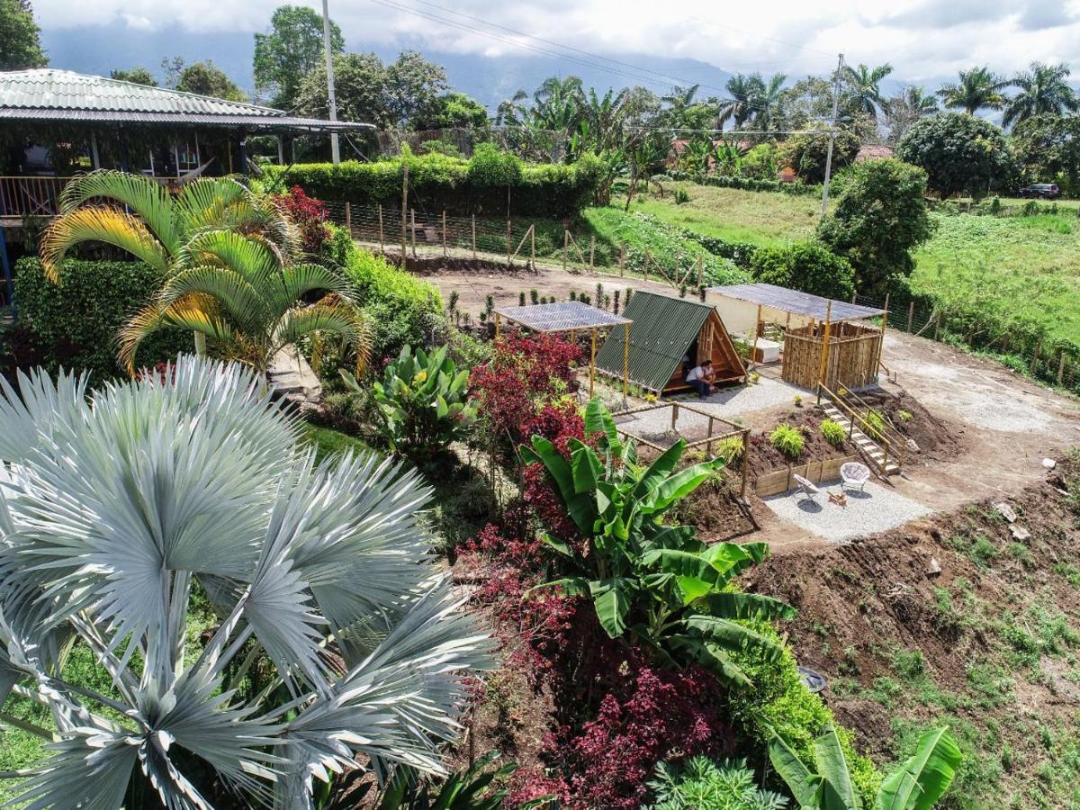 Villa Alejandra Del Quindio Каларка Экстерьер фото